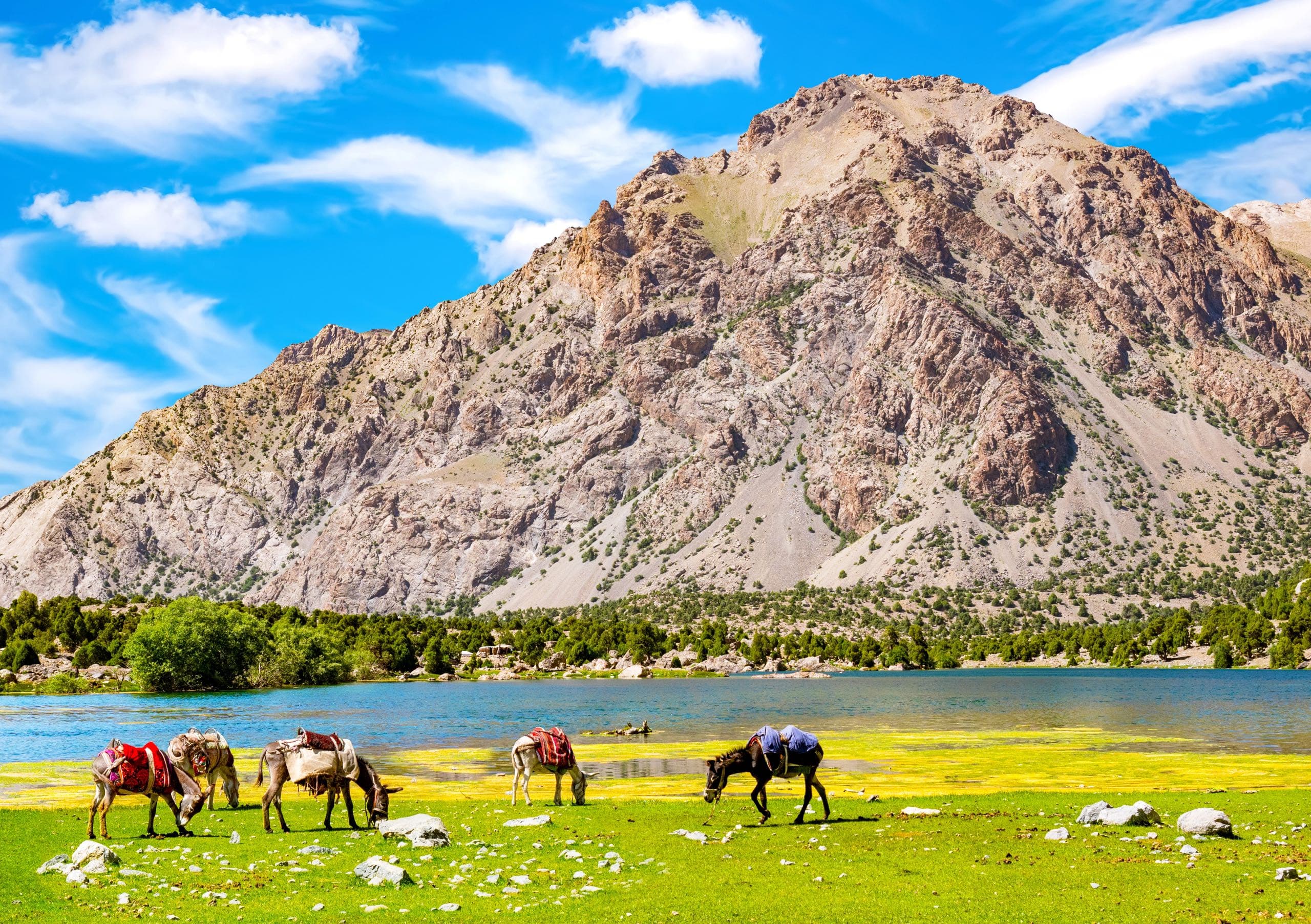 tajikistan